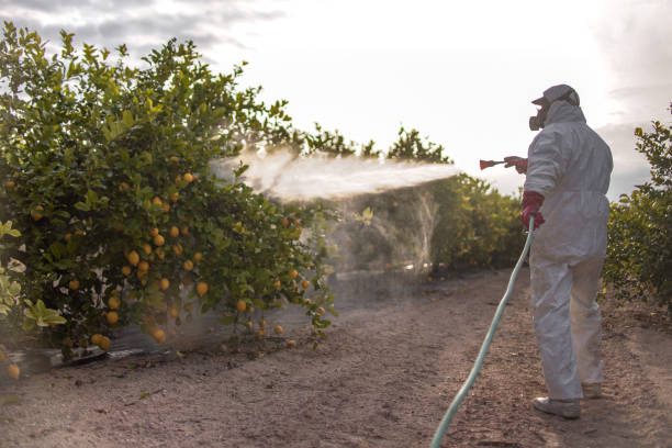 Seasonal Pest Control in Stedman, NC